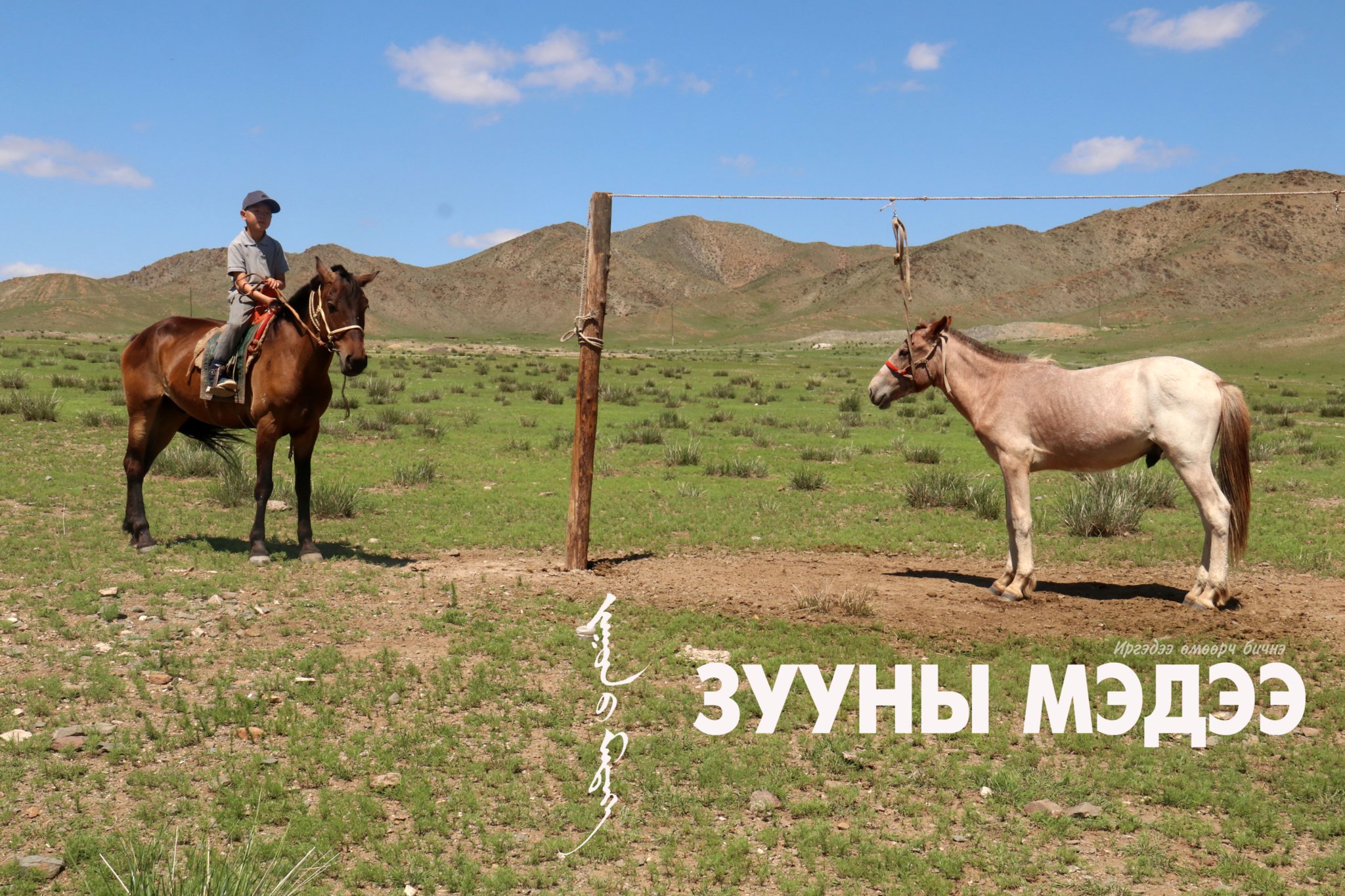 ФОТО: Боржигоны бор талд зуншлага сайхан байна